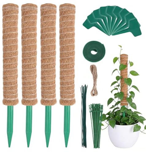 HOVIN Supporto per rampicanti Monstera in cocco – 4 bastoncini di muschio estensibili, 40 cm – Per piante rampicanti in casa e giardino