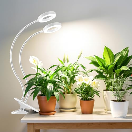 Wiaxulay Grow Light for Indoor Plants, Full Spectrum 2 Heads with Clamp | White 1-Pack, 3.5in LED Clip on Growing Lamp with 360° Gooseneck, Auto Timer 6/12/16 Hrs, 3 Lighting Modes, 5 Brightness