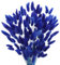 Lot de 50 herbes de la pampa séchées - 45 cm - Fleurs séchées - Blanc naturel - Pour vase, arrangement de mariage, fête, maison, hôtel, décoration - Bleu foncé