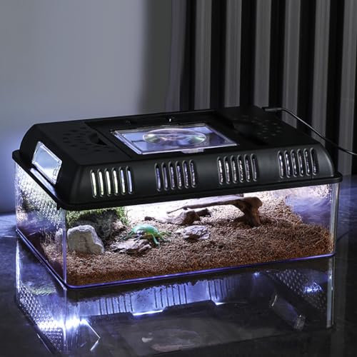Creperture Tartarughe coltivate con luce, terrari per rettili anfibi Habitat, recinto ventilato e allevamento, 31,5 x 22 x 12,5 cm, mangime e contenitore per incubazione, terrario per rettili