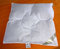 Betten Hofmann Baby Daunenbett 80x80 cm Steppbett Babydaunendecke, leicht und warm, kuschelig, 150g Füllgewicht, Naturprodukt, waschbar