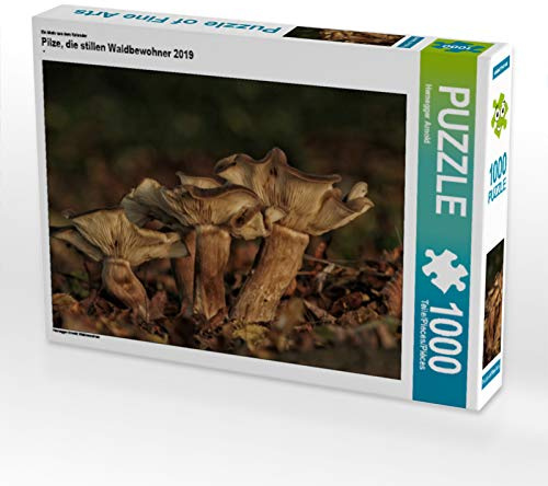CALVENDO Puzzle EIN Motiv aus dem Kalender Pilze, die stillen Waldbewohner 2019 | 1000 Teile Lege-Größe 64 x 48 cm Foto-Puzzle für glückliche Stunden