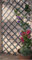 MD MUZ Lot de 3 treillis de jardin extensibles en bois gris 180 x 30 cm