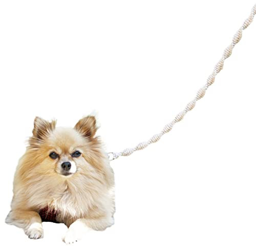 Wedding Dog Lead (White)
