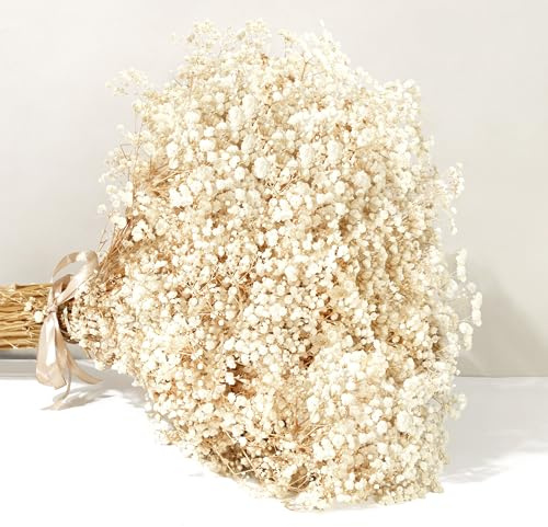 KAOHONG Schleierkraut Getrocknet Trockenblumen deko über 7000 Blütenknospe Weiß Natürlich Gypsophila Trockenblumen für Schleierkraut für Hochzeit, Zuhause, DIY-Kränze, Tisch, Vasen Dekoration