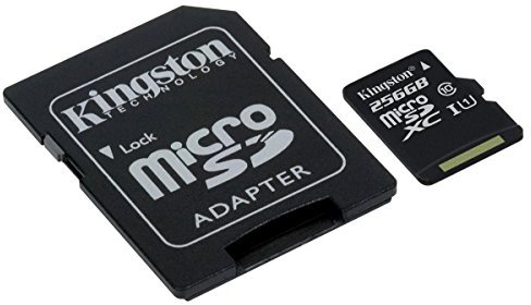 Kingston SDCS/256GB MicroSD Canvas Select Geschwindigkeiten der Klasse 10 UHS-I – bis zu 80 MB/s Lesezugriff (mit SD-Adapter)- Erwecken Sie HD-Videos zum Leben