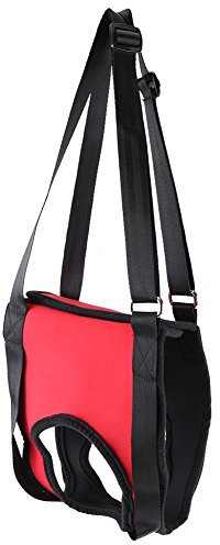 GLOGLOW 2 Arten Front & Rear Dog Support Harness, Wiederverwendbare Gehhilfe Unterstützung Hebe Pulling Vest für Alte & Verletzte Hunde(Vorderbein M)