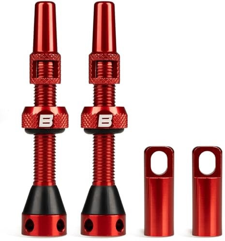 BWSHLF Tubeless Presta-Ventilschaft 40/44/55/60/65/80/100 mm, superleichte Legierung, Presta-Ventilschaft-Set mit Ventilkernentferner-Werkzeug und Ventilschaftkappen, mehrere Farb- und Größenoptionen