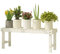 Pflanzentreppe Draussen Blumenleiter Holz Blumentreppe Für Balkon Innen Blumenregal Blumenständer Für Patio Wohnzimmer Kiefernmaterial (Color : Weiß, Size : 78x25x30cm)