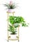 KHayRovies Porta piante da interno, 3 livelli supporto per piante in Metallo, Piante Stand Fiore Porta Piante piedistallo, Scaffale per piante porta vasi per balcone angolo esterno giardino (Oro)