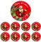 12x Sottopiatti Decorativi Bordo Merry Christmas con Fiore e Babbo Natale, Tondo 33 cm Natale cenone sotto Piatto Natalizio Capodanno Cena Aperitivo Rosso Rame Rosso e Bianco (Babbo Natale 33 cm)
