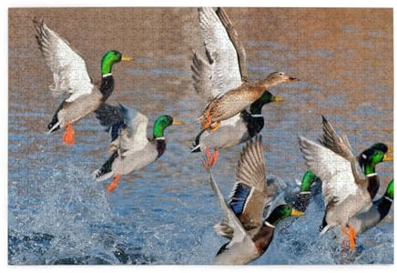 Wilde Ente, Puzzles 1000 Teile Holzpuzzle Spielzeug Familienspiel Wanddekoration