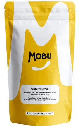 Ginger 1000mg 120 Tablets | Ginger Root Extract | Digestion, Travel Sickness & Joint Support | Letterbox Friendly | Vegan UK Made | GMP Approved | MOBU