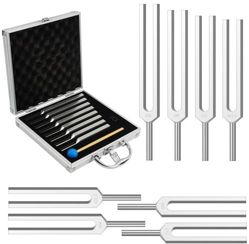 DiDiBirDi Stimmgabel Set mit 8 Stimmgabeln für Yoga - Chakra-Frequenzen (256 Hz, 288 Hz, 320 Hz, 341,3 Hz, 384 Hz, 426,6 Hz, 480 Hz, 512 Hz) mit Aluminium-Etui für Meditation