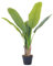 Pianta Finta Da Interno Artificiale Grandi Varie Altezze 100/150/180 Cm Artificiali Vari Modelli Modellabili Decorazioni Casa Ufficio - Banano - Altezza 150cm