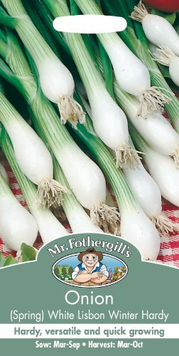 Mr Fothergill's 23356 Vegetable Seeds, Onion (Spring) White Lisbon Winter Hardy
