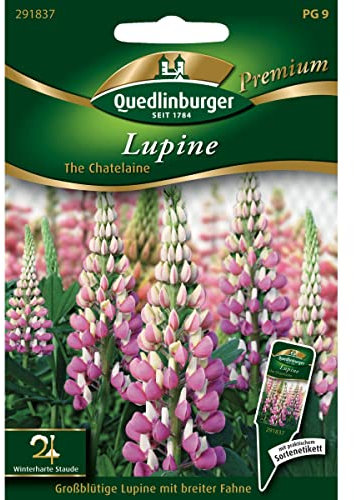 Lupine, The Chatelaine