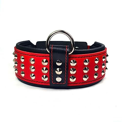 Bestia Star Hundehalsband mit Nieten und Innenpolsterung 6,5 cm Breit. Rot