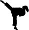 Samunshi® Aufkleber Karate Karatekämpferin in 10 Größen und 22 Farben (30x30cm schwarz)