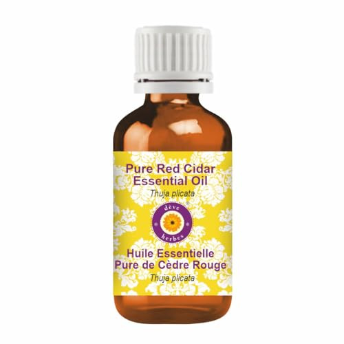 dève herbes Pure Red Cidar Essential Oil (Thuja plicata) Natural Therapeutic Grade Steam Distilled 10ml (0.33 oz)
