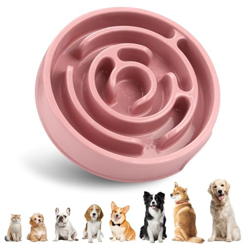 SUOXU Slow Feeder Dog Bowl Non Slip Slow Eating Interactive Fun Puzzle Pet Bowl Feeding Bowls,Bloat Stop Dog Food Bowl for Small Medium Size Dogs Cats