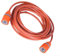 HOHOVYVY Tubo da giardino 6 m, tubo per irrigazione con diametro interno 5 mm, diametro esterno 8 mm, per irrigazione giardino, lavaggio auto