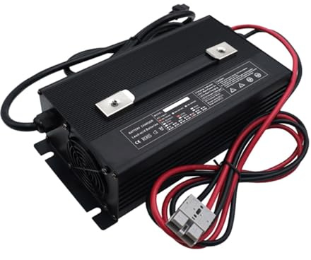 HYDTGZ Chargeur de Batterie pour Chariot Élévateur 24 V 40 A Chargeur Intelligent Haute Efficacité avec Connecteur Anderson 50 A/120 A/175 A/350 A pour Chariot Élévateur, Gerbeur Transpalette,B,50A