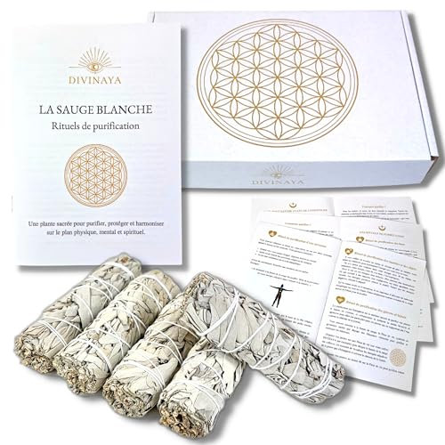DIVINAYA Coffret Rituels en français + 5 Bâtons de Sauge Blanche Purification a bruler pour la Maison, la méditation. Qualité Premium. Cadeau Spirituel et Zen. Sagesse, clarté, Chance, prospérité.