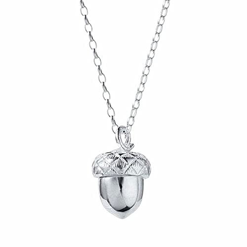RAAJSI Acorn Pendant Necklace Can Open Pinecone Pendant Cone Box Pendant Women Heart Acorn Charm Pendant Women Vogue Jewelry