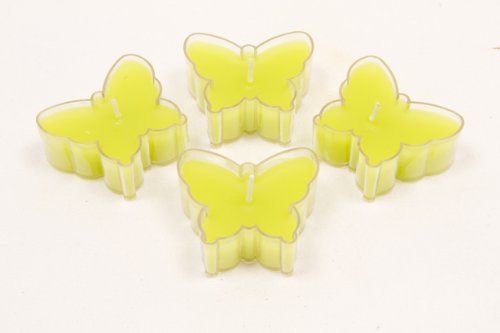 4 bougie chauffe plat papillon vert