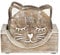 Drinks Coasters - Wooden Cat Coasters - Set of 6 in Storage Box (SC099) by Ginger Interiors
