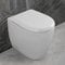 Wc rialzato filomuro per anziani e disabili H 50 cm, in ceramica lucida con brida e scarico traslato 6-23 cm, serie COMODA