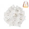 40 Stück komprimierte Handtücher Tabletten, Tragbare Mini Wiederverwendbare Reinigungshandtuch Gesichtshandtücher, Gesichtswaschlappen Reisehandtuch, für Unterwegs, Urlaub, Reisen, Sport, Küche