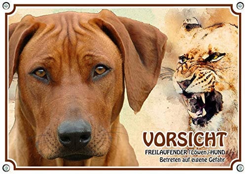 Petsigns Hundeschild - mit Rhodesian Ridgeback Löwenhund RR - uv-beständiges METALLSCHILD, DIN A4