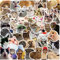 ITOMUFD Meme Sticker Set Aufkleber Kinder Teenager 50 Stück Cat Katze Wasserfeste Vinyl Decals Laptop Skateboard Koffer Helm Auto Fahrrad Handy Motorrad Fahrrad Scrapbook Mitgebsel Tagebuch Tassen