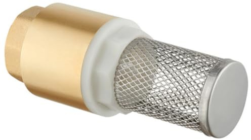 pokm toolsmarket - 2 DN50 Fußventil Rückschlagventil mit Saugkorb | Messing Saugventil Rückschlagventil für Pumpe | Ventil für Haus Garten Brunnen
