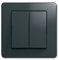 Double interrupteur eKONOMIK interrupteur : anthracite - 10A/250 v