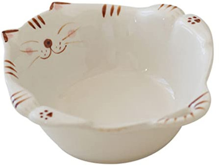 CALLARON Ceramic Fruit Bowl Cat Design Breakfast Bowl Ice Cream Salad Food Bowl Vegetable Bowls Popcorn Ramen Noodle Bowl