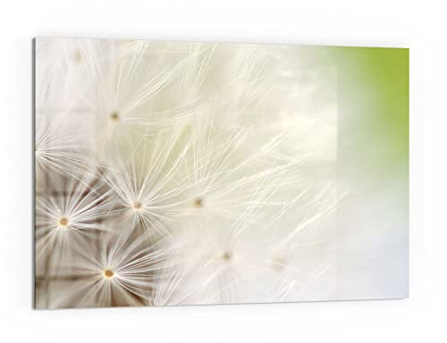 DEQORI Küchenrückwand Glas | Motiv Pusteblume ganz nah | 60x40 cm | Bad- oder Herd-Rückwand | Herdblende Spritzschutz für Küche & Badezimmer | moderne Deko für Fliesenspiegel