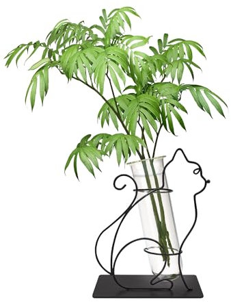 Dormercy Tube à essai pour plantes terrarium avec support en métal, station de propagation en verre pour bureau et décoration de maison