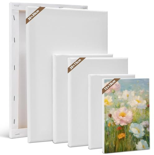 6 Pièces Toile pour Peinture, Cadre pour Toile pour Peinture à l'huile, Toiles Grandes pour la D'artisans pour Toutes les Couleurs Gouache, Peintures Acryliques, 3 Tailles