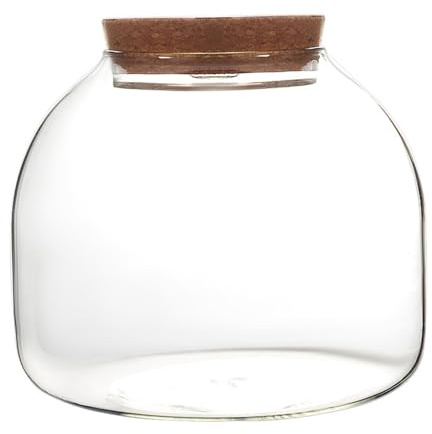 Terrario de Vidrio para Plantas, Tarro de Terrario de Gran Apertura con Tapa de Corcho, 1600 ml para Manualidades de Suculentas