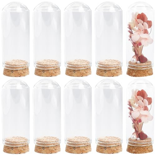 SUNNYCLUE 12 Mini Cloche en Verre avec Dôme de 30x70 mm Bocaux en Verre avec Base Liège Affichage Transparent Cloche Petits Pots pour Le Stockage de Fleurs la Maison la Fête