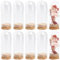 SUNNYCLUE 12 Mini Cloche en Verre avec Dôme de 30x70 mm Bocaux en Verre avec Base Liège Affichage Transparent Cloche Petits Pots pour Le Stockage de Fleurs la Maison la Fête