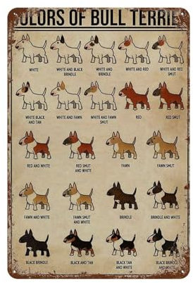 YYHMKBYY Vintage Blechschild Farben von Bullterrier Vertikales Poster Retro Wandkunst Dekor Eisen Malerei Für Zuhause Küche Cafe Pub Schild Plakette,30 x 40 cm (12 x 16 Zoll)-19
