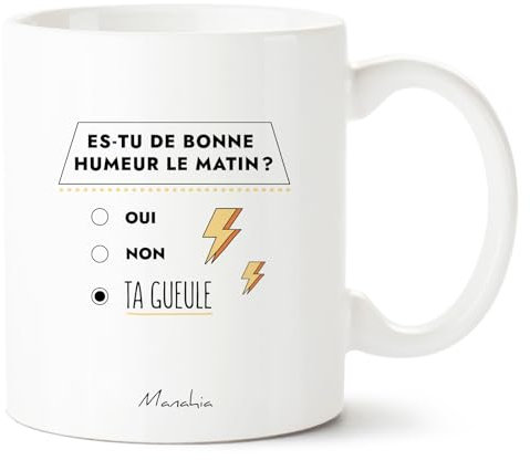 Manahia Mug humoristique - Êtes-vous de bonne humeur le matin ? Oui, Non, Ta gueule - Mug original amis, mug humour - Cadeau geek, collègue - Boite kraft incluse - Imprimé en France - 330ml