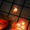 Sunshine smile Flamingo Lichterkette,2M 20LED Flamingo Lichterkette,Lichterkette Innen,Lichterkette Fenster Innen,Aussenlichterkette Batterie,Lichterketten Vorhang,Outdoor Christmas Decorations