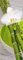 Eurographics DG-UWE1049 Deco Glass, Glasbild, Dinner In White, 30 x 80 cm