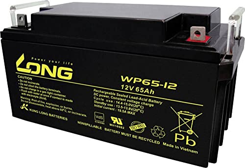 Kung LONG WP65-12 12V 65Ah Lead AGM Battery