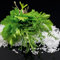 Eurographics Glasbild, Mediterranean Delight